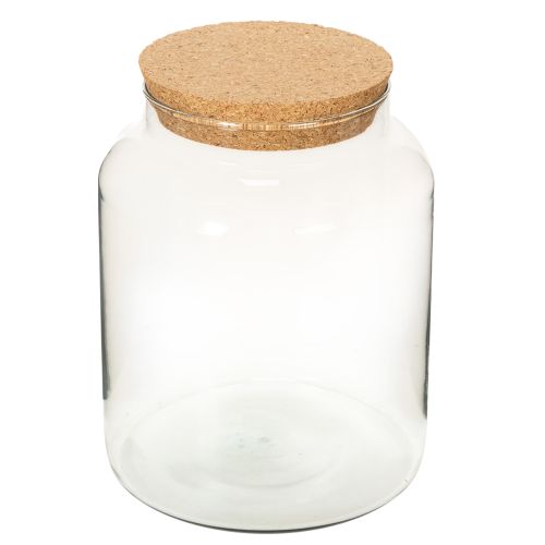 Terrarienflasche aus recyceltem Glas mit Korkdeckel 24 cm hoch, transparent | Floristik24.at