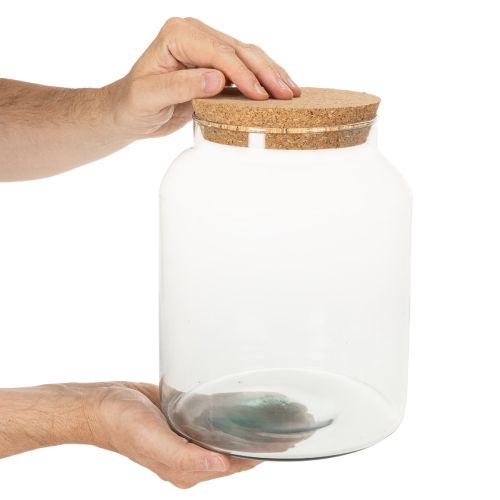 Terrarienflasche aus recyceltem Glas mit Korkdeckel 24 cm hoch, transparent | Floristik24.at