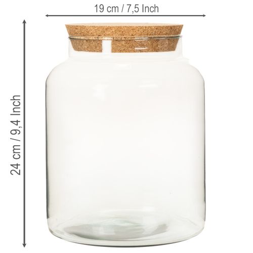 Terrarienflasche aus recyceltem Glas mit Korkdeckel 24 cm hoch, transparent | Floristik24.at
