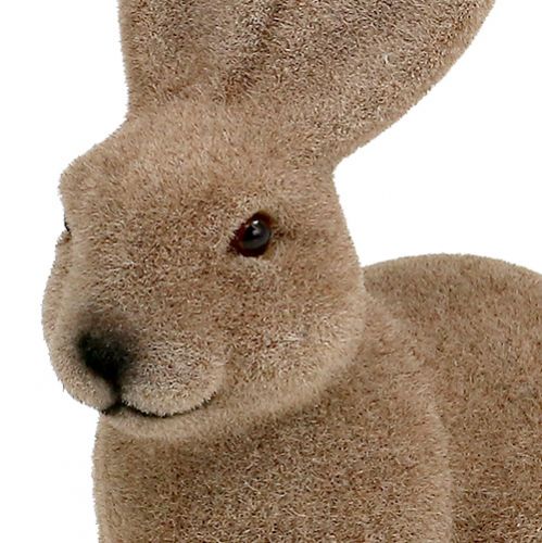 Floristik24 Hase beflockt Braun 15,5cm 4St