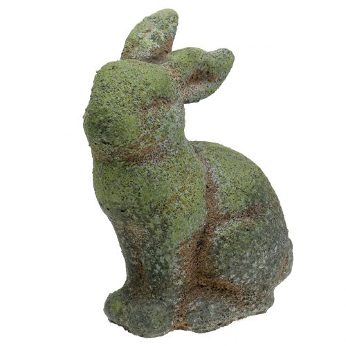 Floristik24 Gartenfigur Hase bemoost 20cm x 13cm H25cm