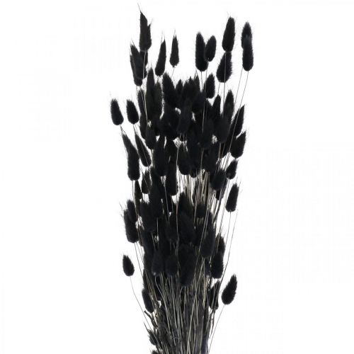Artikel Hasenschwanzgras Lagurus Getrocknet Schwarz 60cm 50g