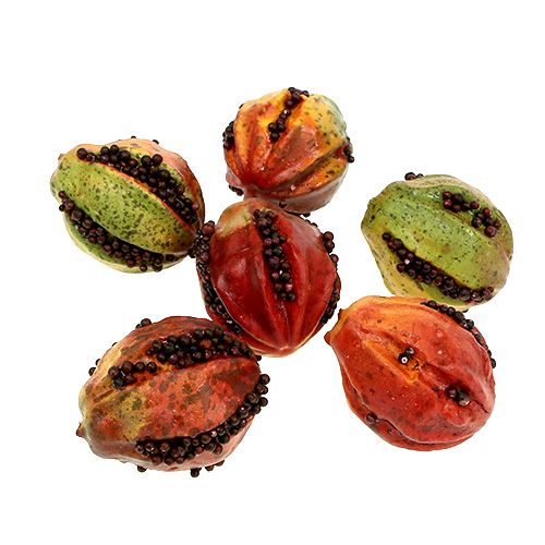 Floristik24 Herbstfrüchte 3,5cm Rot, Braun 24 St