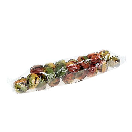 Floristik24 Herbstfrüchte 3,5cm Rot, Braun 24 St