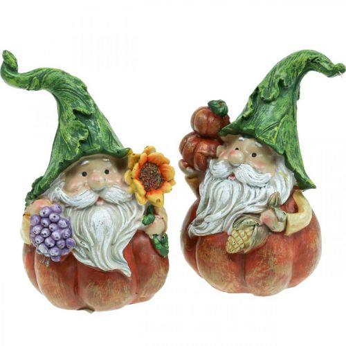 Floristik24 Herbstwichtel Kürbis Deko Wichtel Figur Sortiert H11,5cm 2St