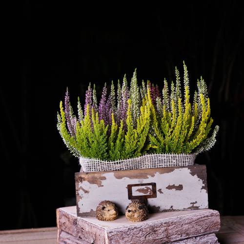 Floristik24 Pflanzgefäß Holzschublade Antik Grau 27cm x 13cm