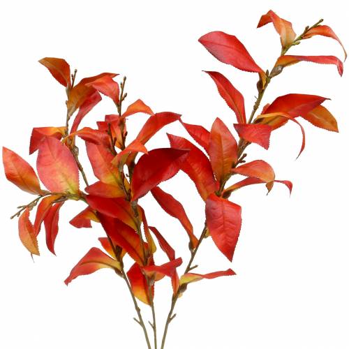 Floristik24 Herbstzweig 72cm