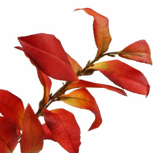 Floristik24 Herbstzweig 72cm