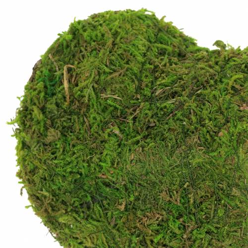 Floristik24 Moosherz Grün 20cm 3St