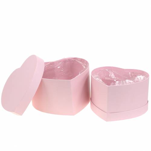 Floristik24 Blumenbox Herz Rosa Ø18/20cm 2er-Set