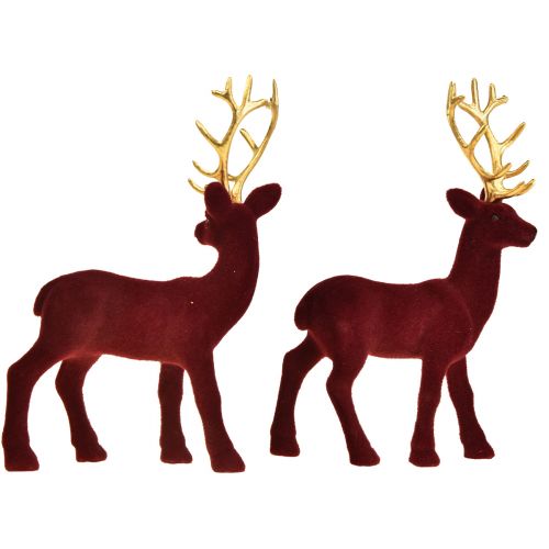 Floristik24 Hirsch Deko Rentier Bordeaux Gold Kalb Beflockt 20cm 2er-Set