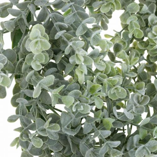 Floristik24 Hochzeitsdeko Eukalyptus Kranz künstlich Ø25cm