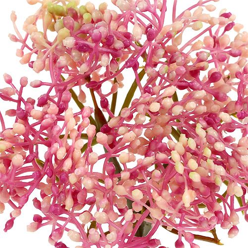 Floristik24 Holunderblütenzweig Rosa-Weiß L 55cm 4St