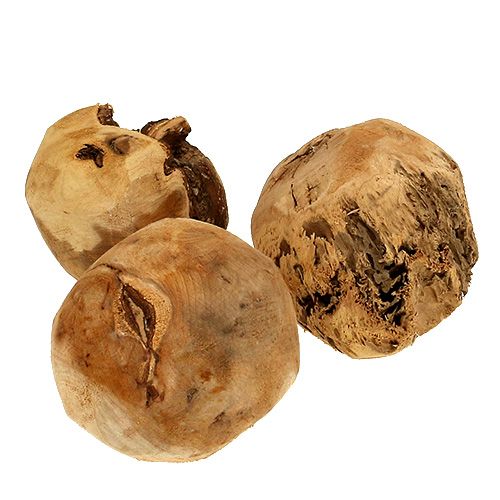 Floristik24 Holzball Tannenball Natur Ø9cm 3St