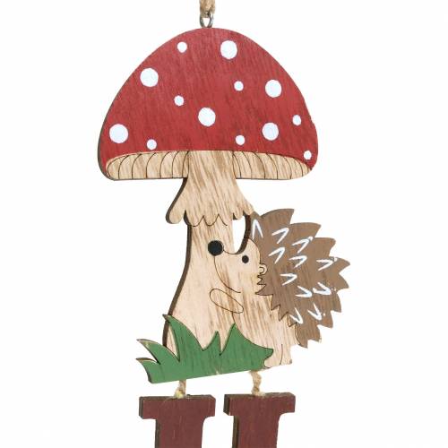 Floristik24 Dekohänger Herbst mit Igel und Pilz 22,5cm x 20cm 4St