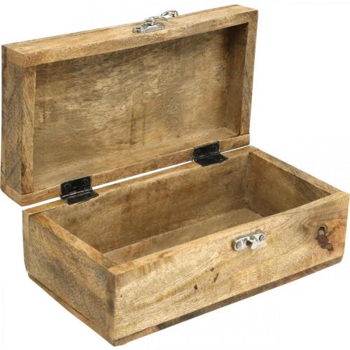 Floristik24 Holzkiste mit Deckel Schmuckschatulle Holzbox 21,5×11×8,5cm