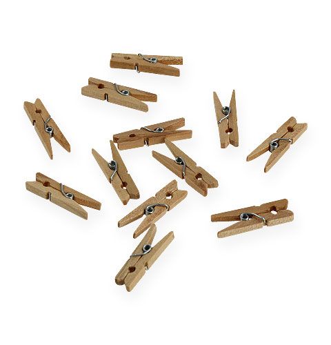 Floristik24 Deko-Holzklammern 3cm Natur 72 St