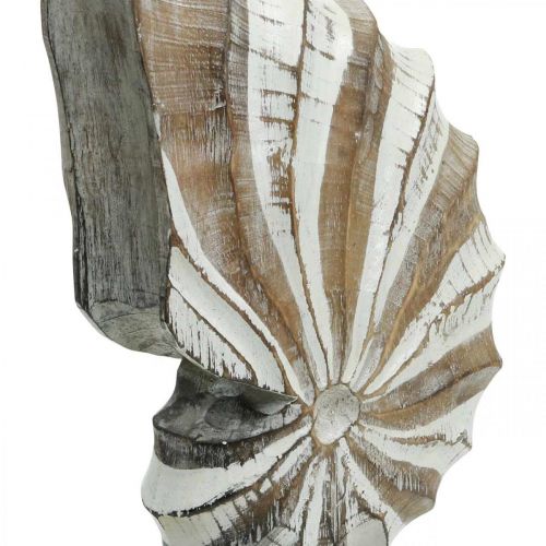 Floristik24 Maritime Deko Holz Schneckenmuschel Aufsteller Natur, Weiß H28cm