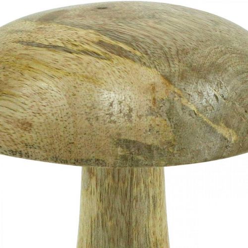 Floristik24 Holzpilz Natur, Gelb Holzdeko Herbst Deko Pilze 15×13cm
