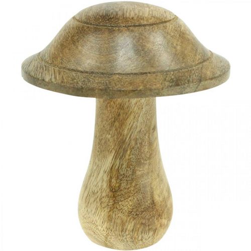 Floristik24 Holzpilz mit Rillen Holzdeko Pilz Mangoholz Natur 11,5×Ø10cm