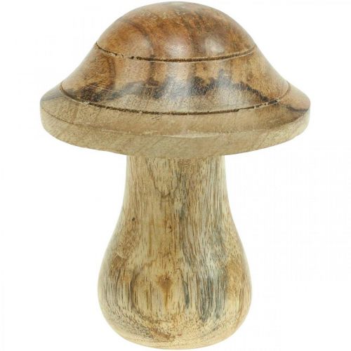 Floristik24 Holzpilz mit Rillen Herbst Deko Pilz Natur Mangoholz 10×Ø8cm