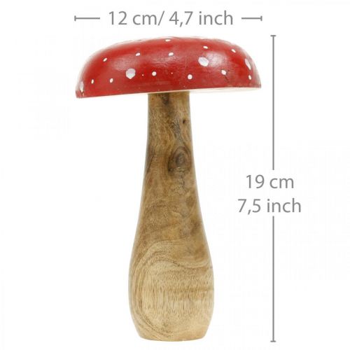 Floristik24 Fliegenpilz Holz Dekopilz Herbst Ø12cm H19cm