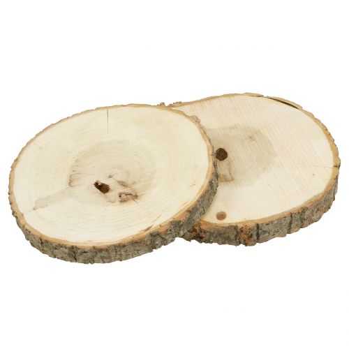 Floristik24 Holzscheibe Natur 20cm 2St