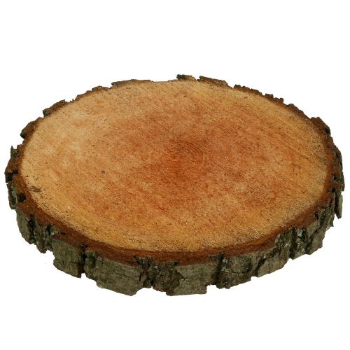 Floristik24 Holzscheibe aus Erle Natur Ø20cm - 24cm