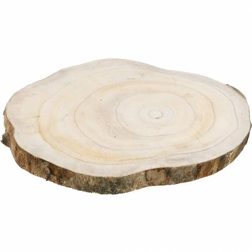 Floristik24 Holzscheibe Natur Ø25-32cm