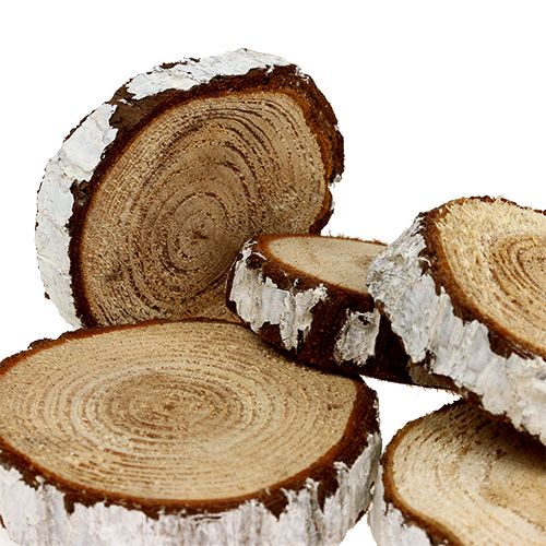 Floristik24 Holzscheiben Tannen Optik 3-7,5cm 500g