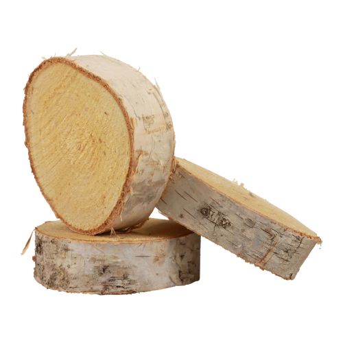 Artikel Holzscheiben Deko Birkenholz Natur Rinde Ø7-9cm 18 St