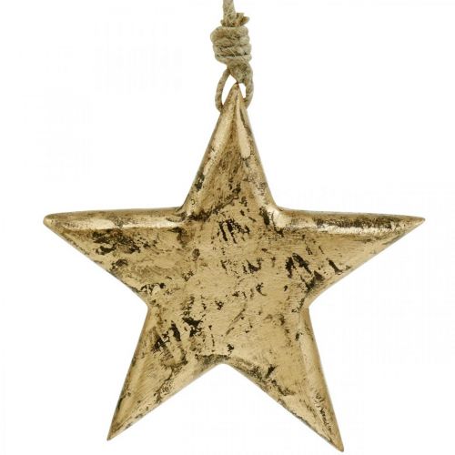 Floristik24 Stern zum Hängen, Holzdeko mit Gold-Effekt, Advent 14cm × 14cm