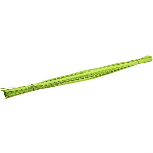 Floristik24 Holzstreifen Frühlingsgrün 95cm - 100cm 50 St
