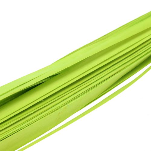 Floristik24 Holzstreifen Frühlingsgrün 95cm - 100cm 50 St