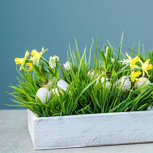 Floristik24 Holztablett Shabby Chic Weiß Rechteckig 37,5cm x 14,5cm H6,3cm