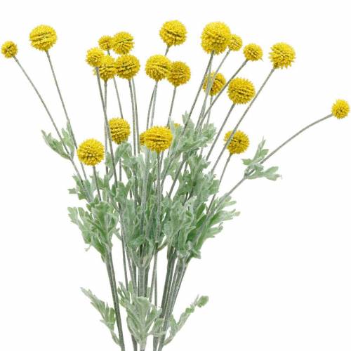 Trommelstöckchen Gelb Künstliche Craspedia Seidenblumen