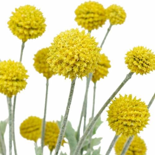 Trommelstöckchen Gelb Künstliche Craspedia Seidenblumen