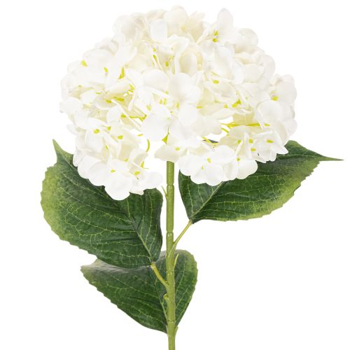 Hortensie künstlich langstielig 60cm cremefarbene Blüte bestellen | Floristik24.at
