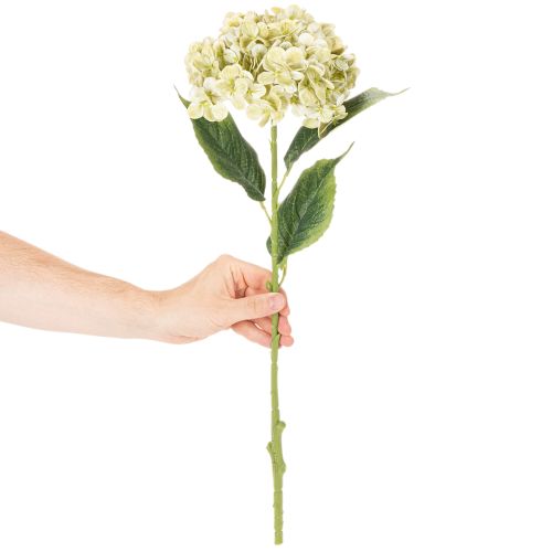 Künstliche Hortensie aus Seidenstoff mit langem Stiel in Creme-Grün, 60 cm | Floristik24.at