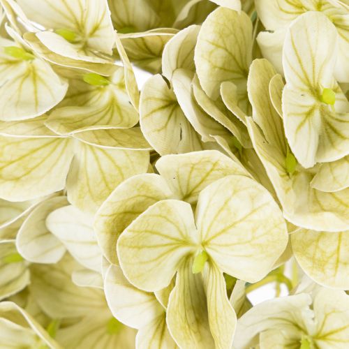Künstliche Hortensie aus Seidenstoff mit langem Stiel in Creme-Grün, 60 cm | Floristik24.at