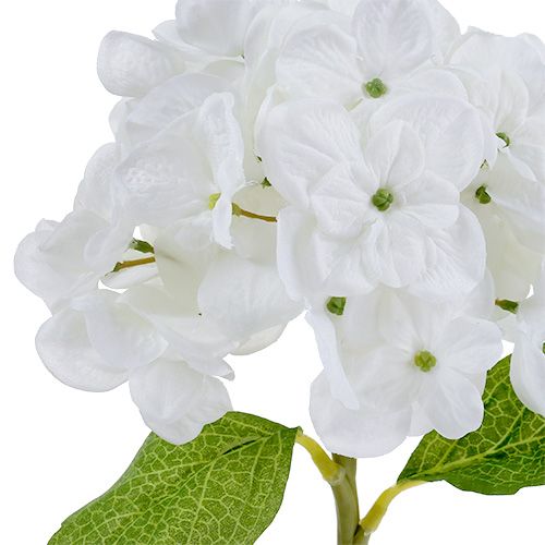 Hortensie 35cm Weiß