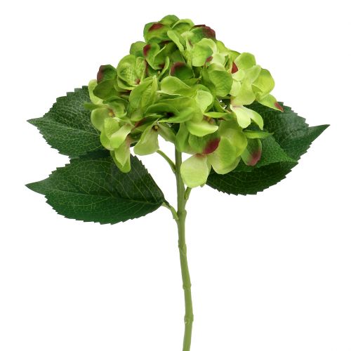 Floristik24 Hortensie grün künstlich für Dekoration L54cm