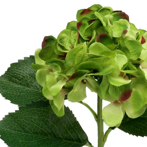 Floristik24 Hortensie grün künstlich für Dekoration L54cm