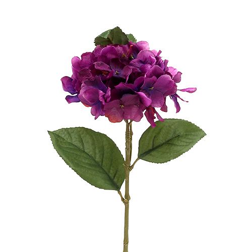 Floristik24 Hortensie Lila 30cm 3St