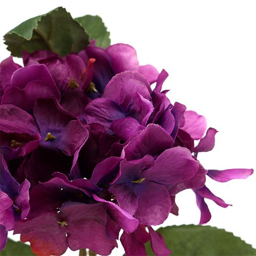 Floristik24 Hortensie Lila 30cm 3St