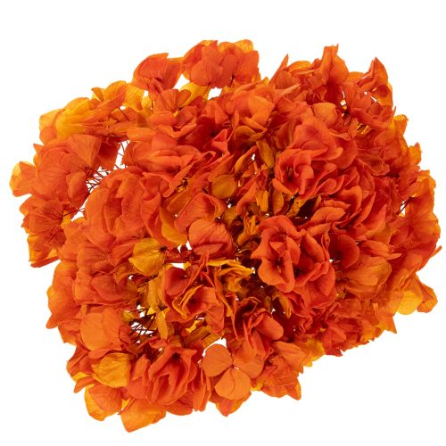Konservierte Hortensie orange 60 cm mit großem Blütenkopf | Floristik24.at