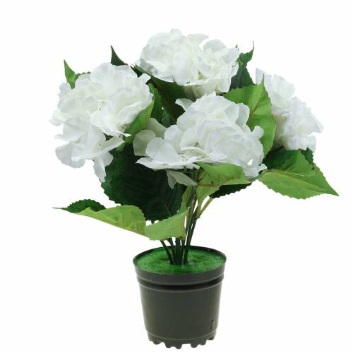 Floristik24 Hortensie im Blumentopf Künstlich Weiß 35cm