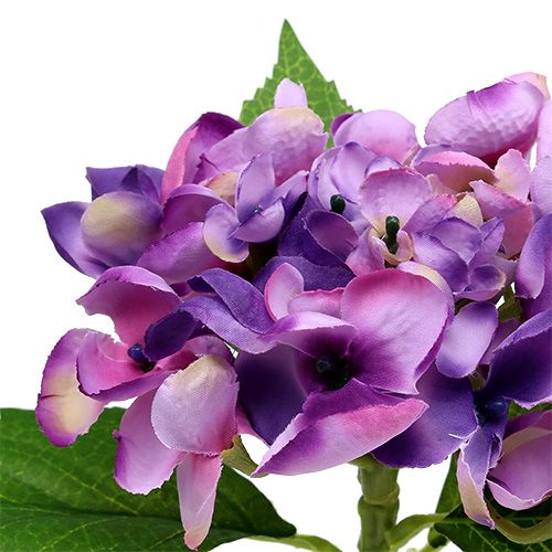 Floristik24 Hortensie Lila 33cm 1St