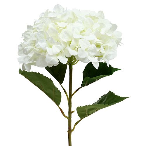 Floristik24 Hortensie Maxi Weiß Ø30cm L113cm