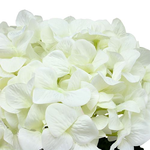 Floristik24 Hortensie Maxi Weiß Ø30cm L113cm